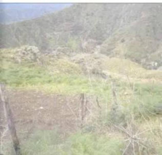 Immobile in asta di 73483 m² in vendita a Castelmola - Foto 3