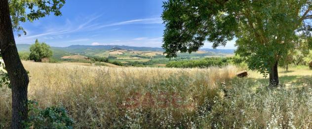 Casale in vendita a Montescudaio - Foto 17