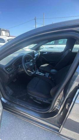 FORD Focus ST-Line 5p 1.5 EcoBlue 115cv Automatica 8M rif. 23916165 - Foto 6