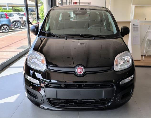 FIAT Panda 1.0 FireFly 70cv S&S Hybrid - Foto 3