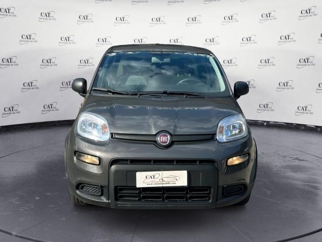 FIAT Panda Panda 1.0 firefly hybrid (prezzo reale) - Foto 2