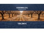 Immobile in asta di 9525 m² in vendita a Assemini