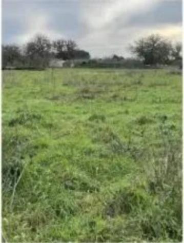 Immobile in asta di 26508 m² in vendita a Tricase - Foto 3