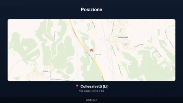Immobile in asta di 853 m² con più di 5 locali in vendita a Collesalvetti - Foto 3