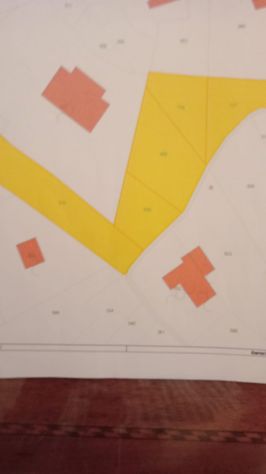 TERRENO AGRICOLO DA PRIVATO - Foto 7