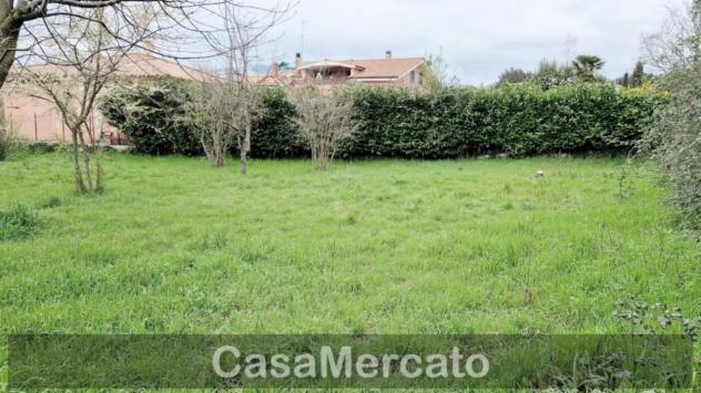 Agricolo in vendita a Rocca di Papa - Foto 10