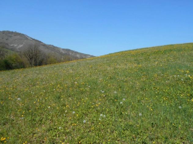 Immobile in asta di 10522 m² in vendita a Scandiano - Foto 7