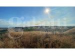 Terreno Agricolo - Roseto degli Abruzzi . Rif.: Cod. rif A132VCG