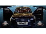 BMW LOGO PORTIERA