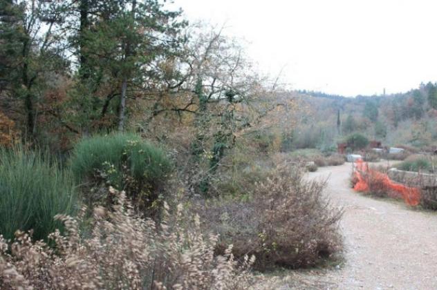 Immobile in asta di 5805 m² in vendita a Castelnuovo Berardenga - Foto 11