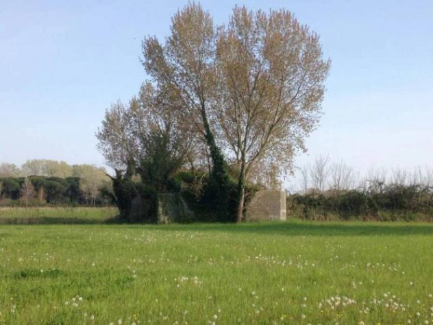 Immobile in asta di 73180 m² in vendita a Cavallino-Treporti - Foto 4