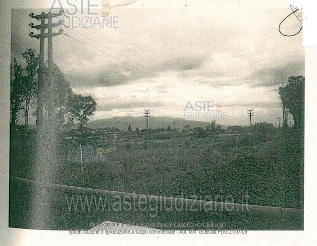 IMMOBILI-ALTRA CATEGORIA-Str. Torre la Felce s.n.c. - Foto 2