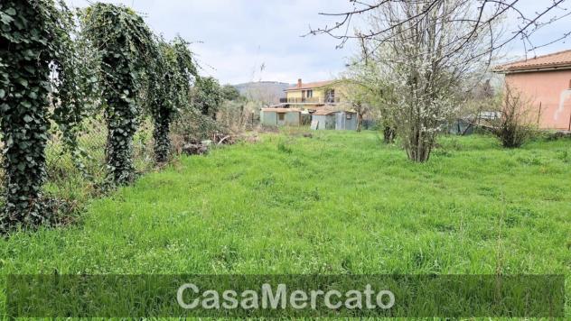 Agricolo in vendita a Rocca di Papa - Foto 5