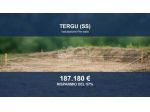 Immobile in asta di 8874 m² in vendita a Tergu