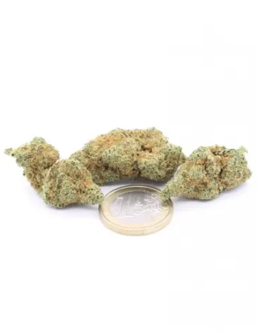 Tangie Mandee - Foto 2