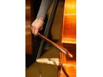Violoncellista per eventi a Varese