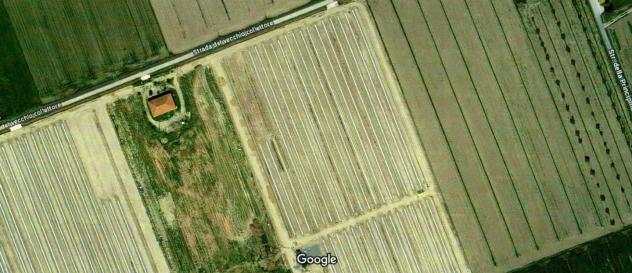 Terreno agricolo in vendita a Principina Terra - Grosseto 55000 mq  Rif: 1241959