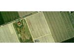 Terreno agricolo in vendita a Principina Terra - Grosseto 55000 mq  Rif: 1241959