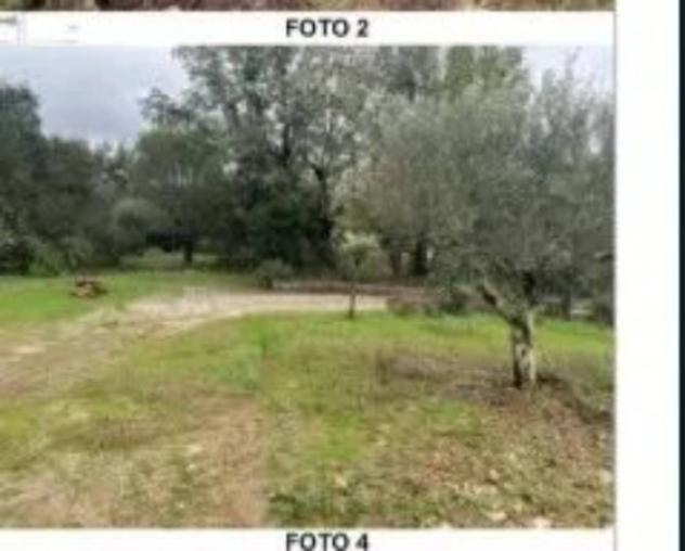 Immobile in asta di 12896 m² in vendita a Ispani - Foto 3