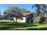 Rustico in vendita a Falorni - Santa Maria a Monte 213 mq  Rif: 1387579