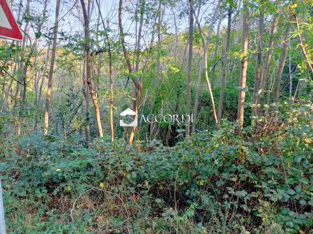 TERRENO AGRICOLO di 18591 mq (VOLPAGO DEL MONTELLO) rif. BL9 - Foto 3