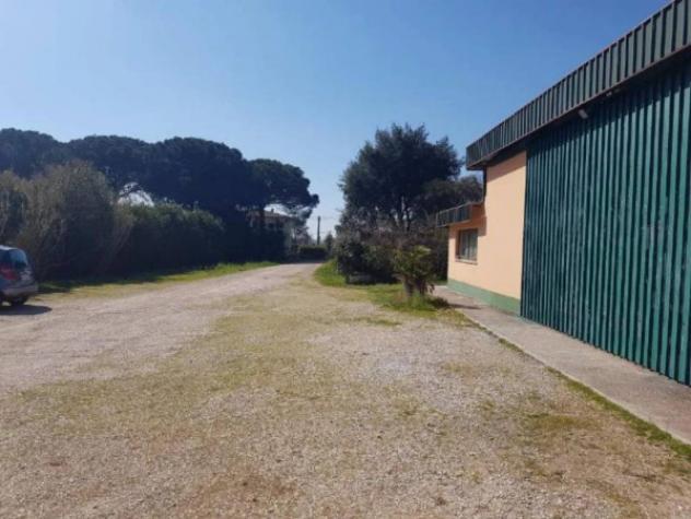 Immobile in asta di 532 m² in vendita a Latina - Foto 9