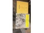 Grande collezione dischi musica classica e opera