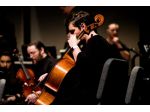 Violoncellista per matrimoni