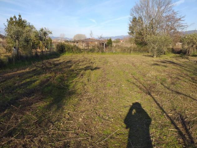 Terreno ed. ind.le/artig.le in vendita a Castelnuovo Magra 1850 mq Rif: 1394404 - Foto 2