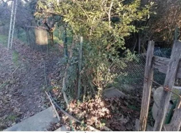 Immobile in asta di 514 m² in vendita a Grottazzolina - Foto 4