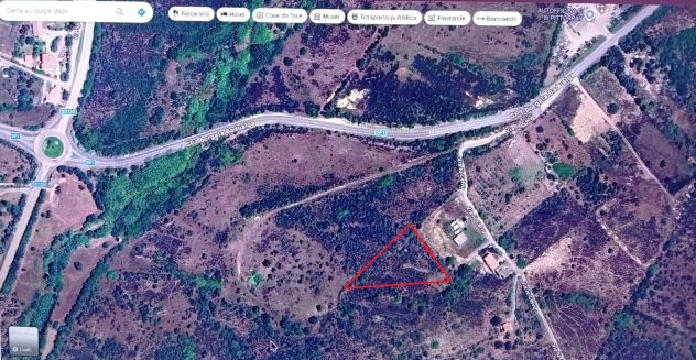 Vendita Terreno agricolo Via Lù Celvu San Teodoro 1250 mq. - Foto 2