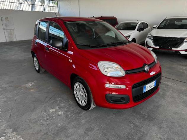 FIAT Panda 1.0 FireFly S&S Hybrid Icon rif. 24000249 - Foto 2