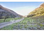 Villa di 275 m² con più di 5 locali in vendita a Villaga [rif. DV-11197-5]