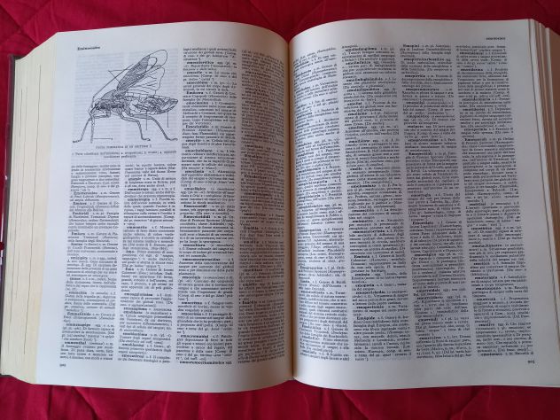 Devoto-Oli Vocabolario illustrato della lingua italiana - Foto 6