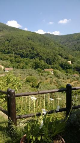 Terreno agricolo in vendita a Castelmaggiore - Calci 1500 mq Rif: 1205664 - Foto 2