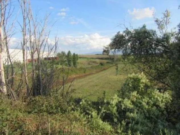 Immobile in asta di 281311 m² in vendita a Guidonia Montecelio - Foto 12