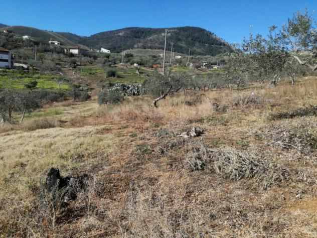 Agricolo in SP126 - Foto 10