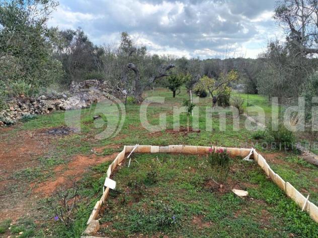 Terreno edificabile in vendita a Sannicola - Foto 20