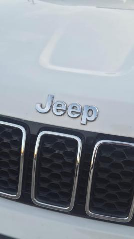 JEEP Grand Cherokee 3.0 V6 CRD 250cv Limited - 2017 - Foto 6