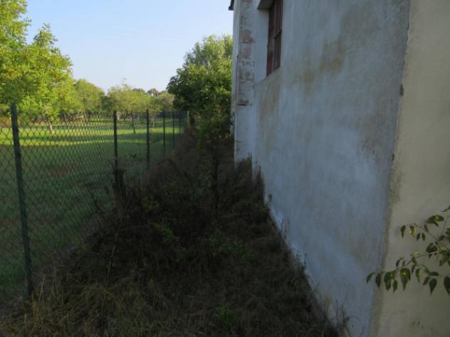 Immobile in asta di 855 m² con più di 5 locali in vendita a Cerea - Foto 10