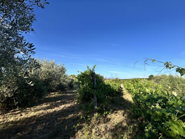 Agricolo in Via Presciano - Foto 2