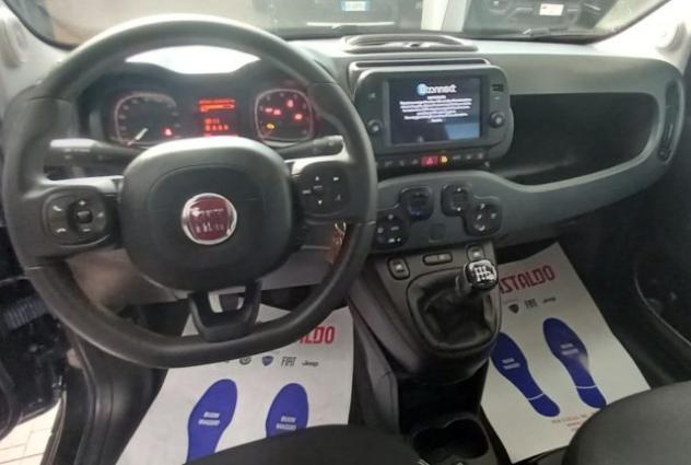FIAT Panda Cross 1.0 FireFly S&S Hybrid City Cross rif. 24194759 - Foto 9
