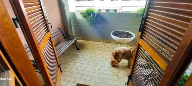 Villetta a schiera in vendita a Avenza - Carrara 180 mq Rif: 1316932 - Foto 6