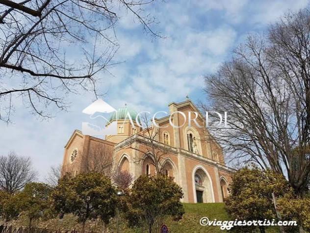 RIF.LLM13 - TERRENO EDIFICABILE FRONTESTRADA DI 1000 MQ IN MONTEGROTTO - Foto 13