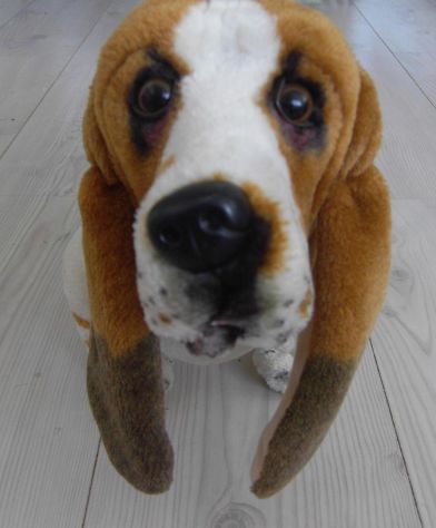 Cane di Peluche - Foto 4