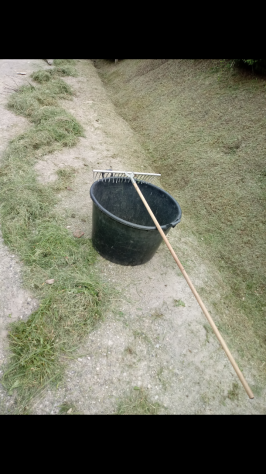 Effettuo lavori di giardinaggio - Foto 4