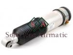 37126785538 BMW Serie 7 E65 ammortizzatore posteriore destro
