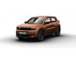 FIAT Grande Panda Benzina Benzina Pop da ORDINARE