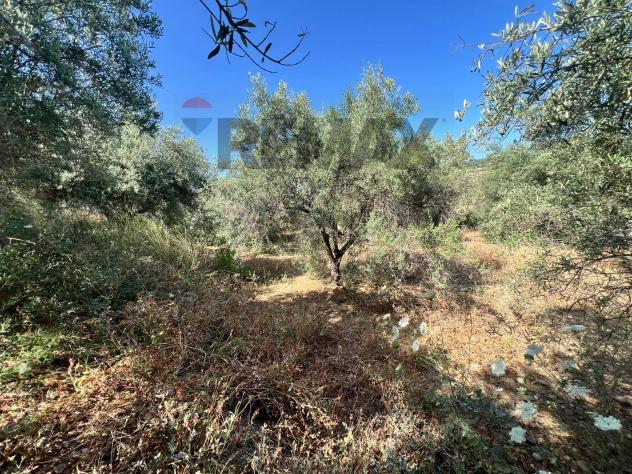 Terreno in vendita a Motta Sant'Anastasia - Foto 8