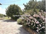 Scarperia (pressi) - Porzione di colonica con giardino